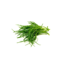 AGRETTI