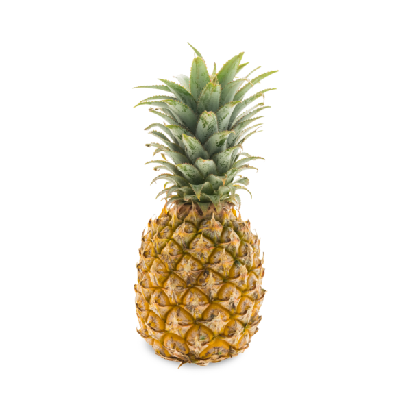 Ananas via aerea