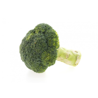 BROCCOLETTO