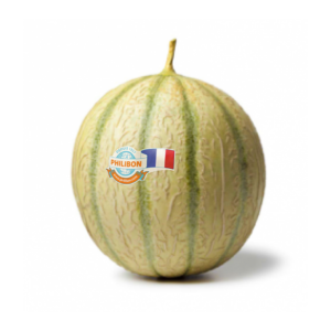 Melone Philibon