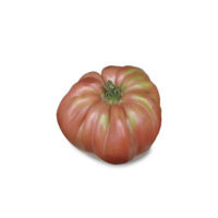 POMODORO CUORE DI BUE