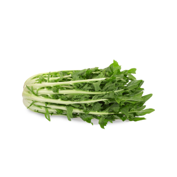 Puntarelle