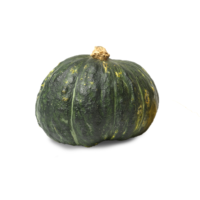 ZUCCA