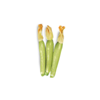 ZUCCHINE MED