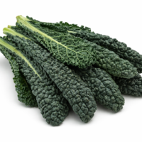 Cavolo Nero