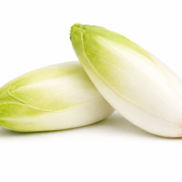 Insalata Indivia Belga