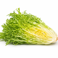 Insalata Riccia