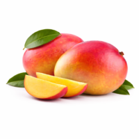 Mango Via Aereea