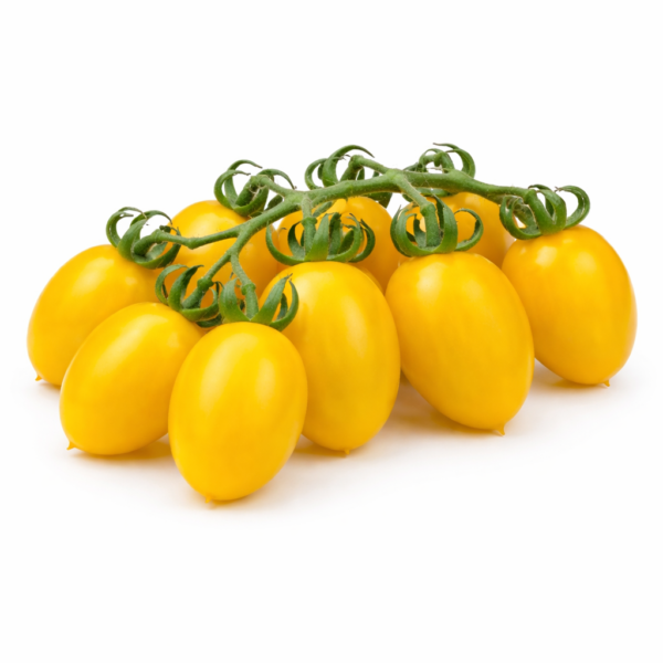 Pomodoro Datterino Giallo