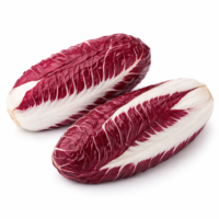 Radicchio precoce