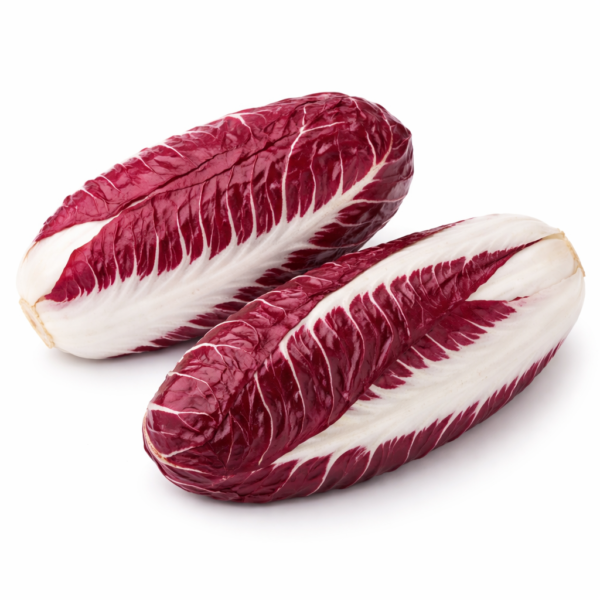 Radicchio Precoce