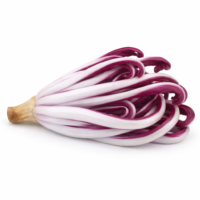 Radicchio tardivo