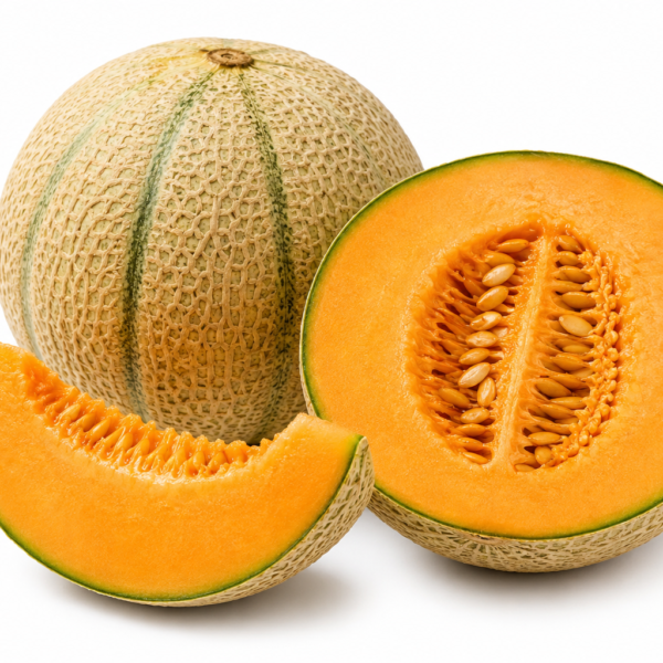 Melone Retato